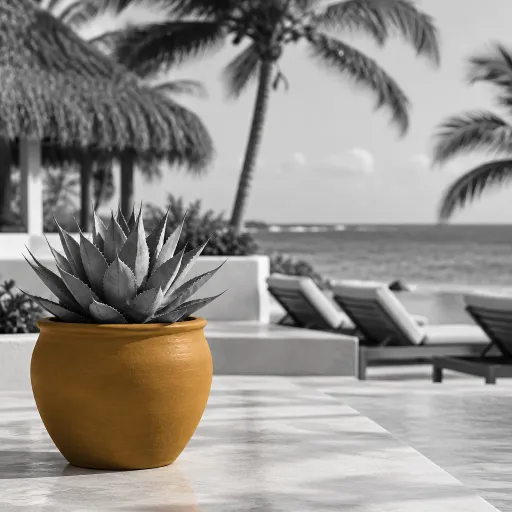 Refined all inclusive hotels in Puerto Morelos for a serene Riviera Maya escape